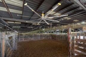 亚洲国产综合精品中文一区二区